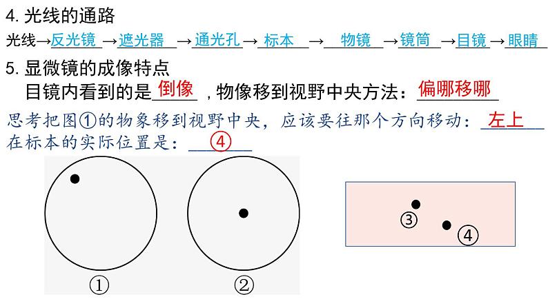 2022年中考生物一轮复习课件：专题02细胞是生命活动的基本单位第6页