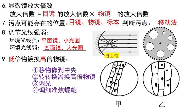 2022年中考生物一轮复习课件：专题02细胞是生命活动的基本单位第7页