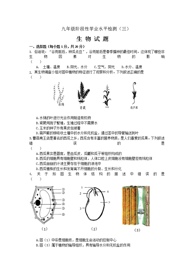 2021年山东省菏泽市牡丹区三模生物试题（word）含答案第1页
