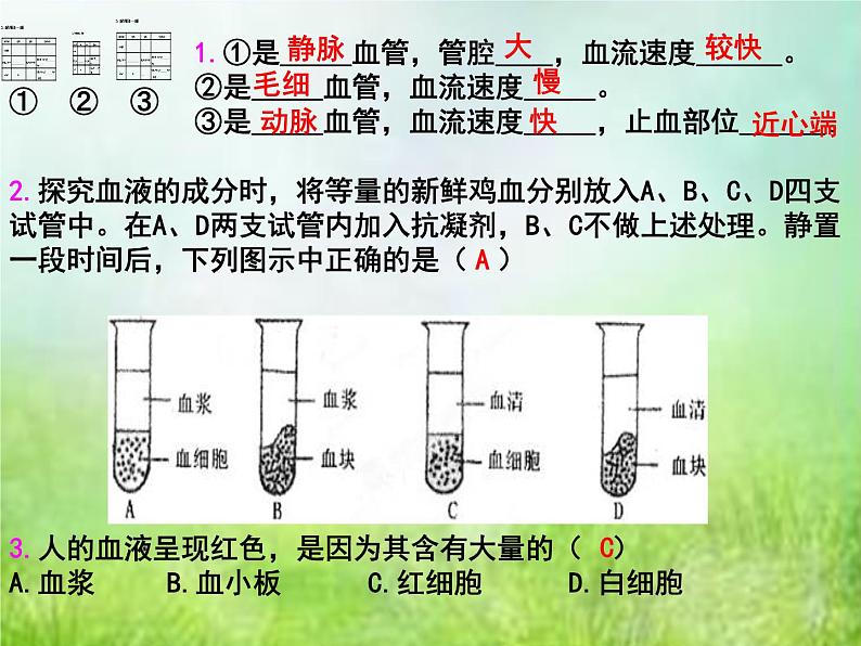 2022年中考复习：专题四《生物体内物质的运输》课件第3页