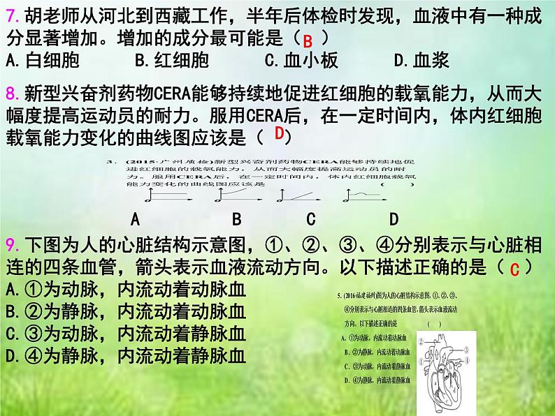 2022年中考复习：专题四《生物体内物质的运输》课件第5页