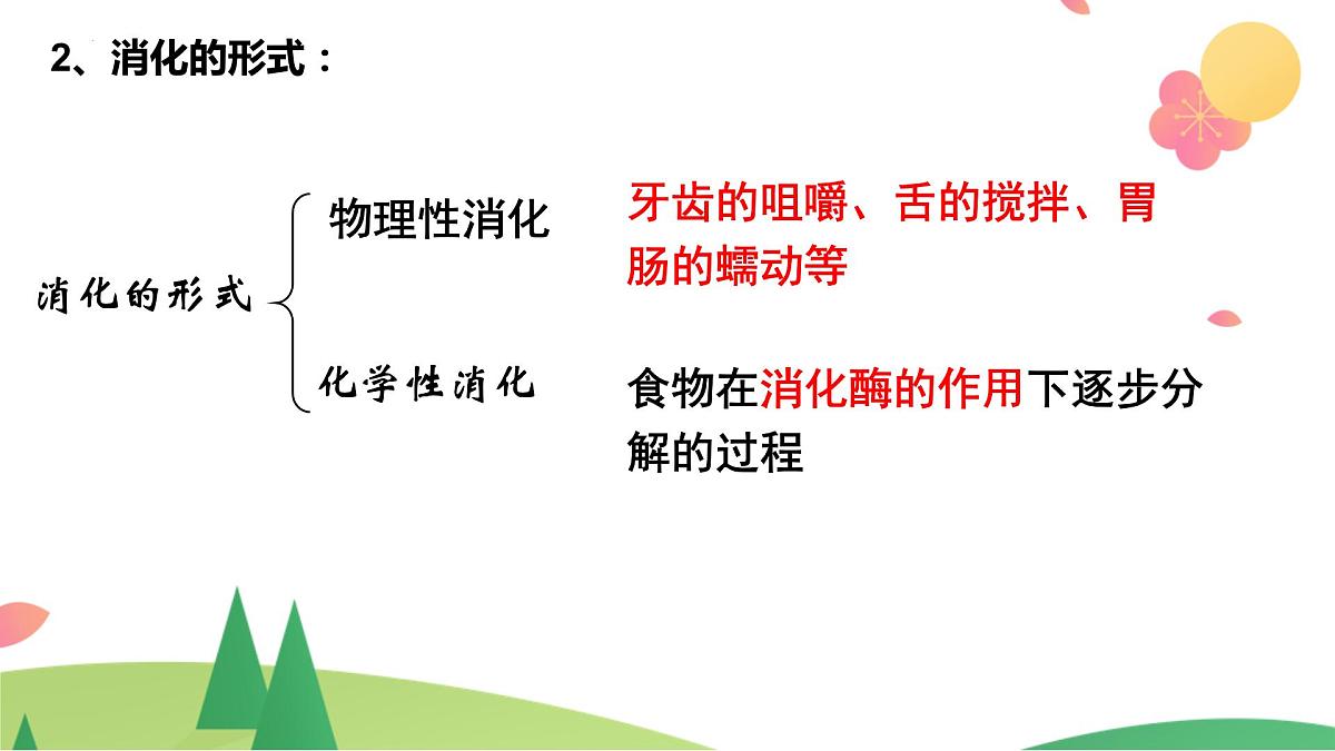 2022年中考生物复习课件--专题三《人体对食物的消化和吸收》第6页