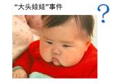 北师大版七下生物 8.1人类的食物 课件