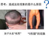 北师大版七下生物 8.1人类的食物 课件