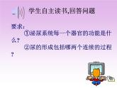 北师大版七下生物 11.2尿的形成与排出 课件