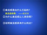 北师大版七下生物 13.2预防传染病 课件