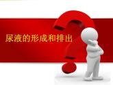 北师大版七下生物 11.2尿的形成与排出 课件