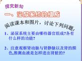 北师大版七下生物 11.2尿的形成与排出 课件