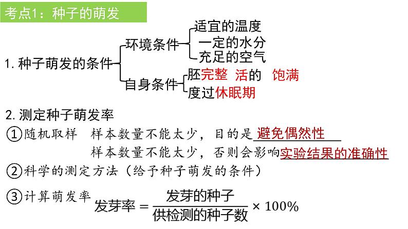 2022年中考生物复习课件---专题05被子植物的一生第2页