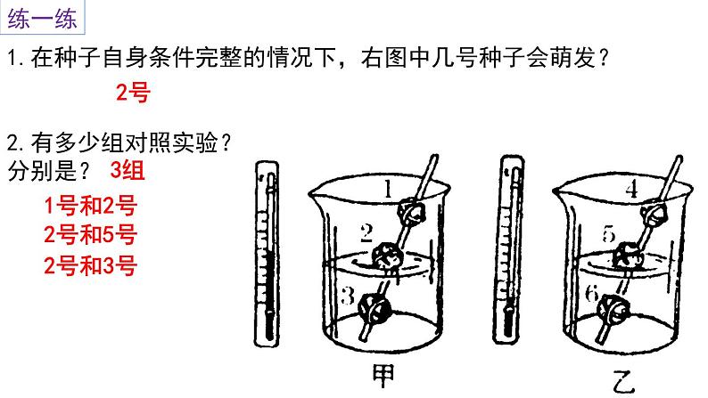 2022年中考生物复习课件---专题05被子植物的一生第4页