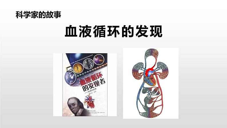 人教版七年级生物下册课件----科学家的故事--血液循环的发现第1页