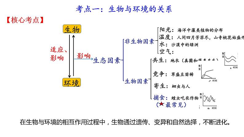 2022年人教版生物中考复习-专题一《生物与环境》课件06