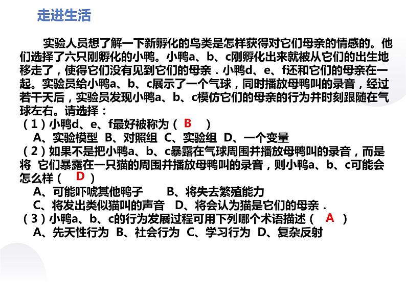 2022年人教版生物中考复习-专题十一《动物的运动和行为》课件第8页