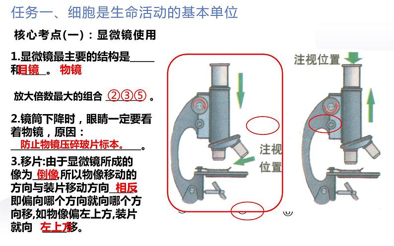 2022年人教版生物中考复习-专题二《生物体的结构层次》课件第4页