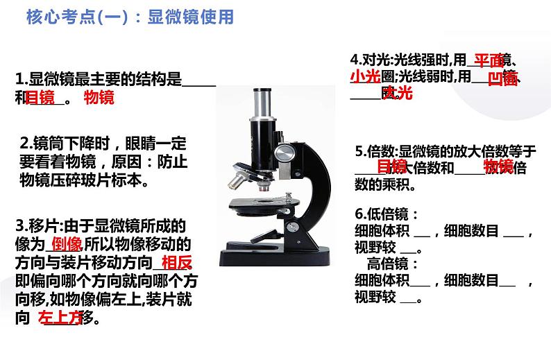 2022年人教版生物中考复习-专题二《生物体的结构层次》课件第7页