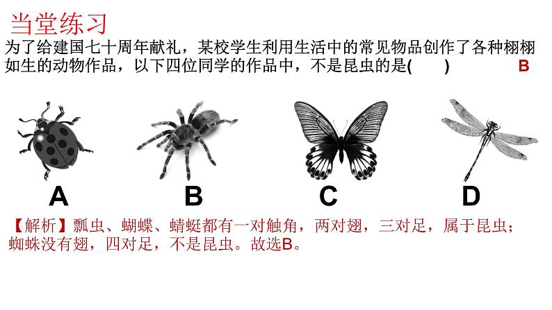 2022年人教版生物中考复习-专题七《动物的多样性及其保护》课件第8页