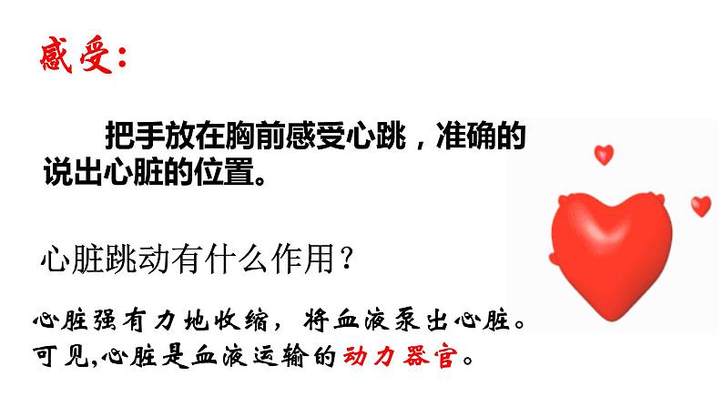 第四单元 第四章 第三节 输送血液的泵-心脏-2021-2022学年人教版生物七年级下册课件03