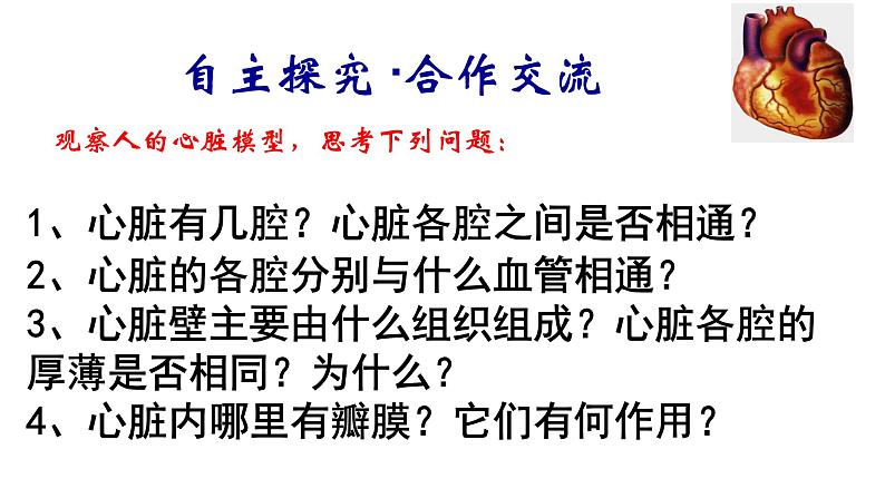 第四单元 第四章 第三节 输送血液的泵-心脏-2021-2022学年人教版生物七年级下册课件08