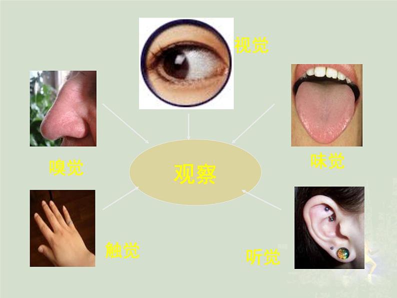 人体对外界环境的感知课件PPT第2页