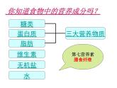 济南版七年级下册生物 1.1食物的营养成分 课件