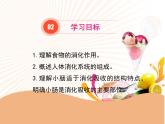 济南版七年级下册生物 1.2消化和吸收 课件