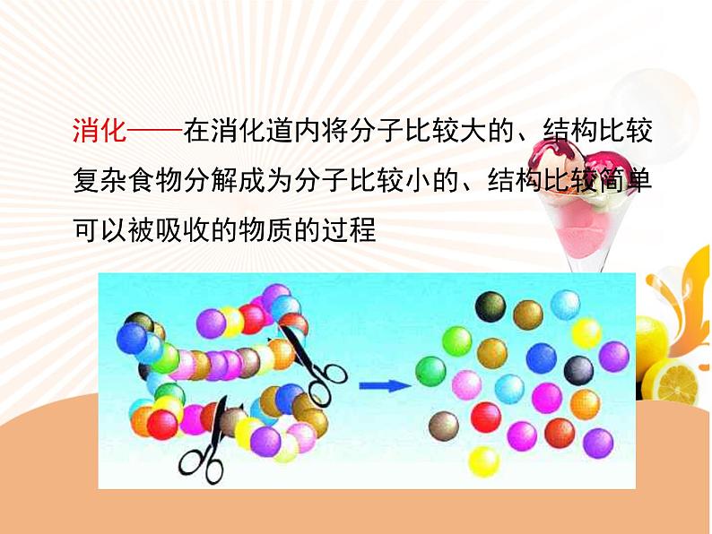 济南版七年级下册生物 1.2消化和吸收 课件05