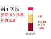 济南版七年级下册生物 3.1物质运输的载体 课件