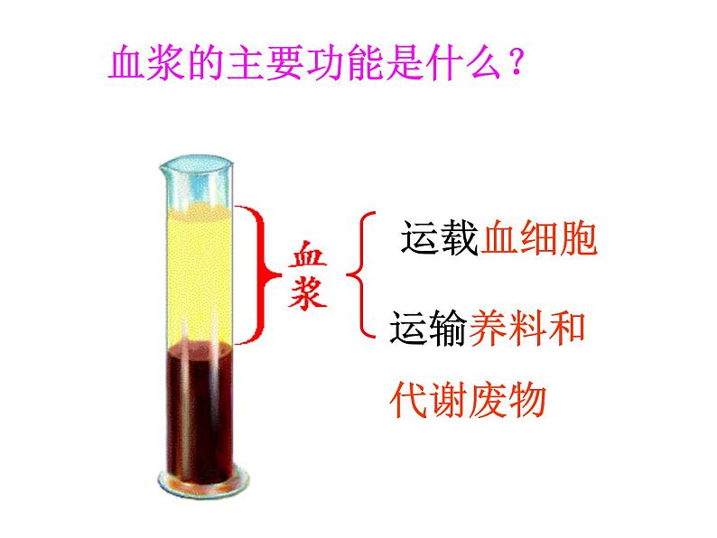 济南版七年级下册生物 3.1物质运输的载体 课件第5页