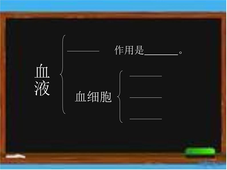 济南版七年级下册生物 3.1物质运输的载体 课件第7页