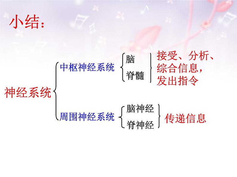 济南版七年级下册生物 5.2神经调节的结构基础 课件06