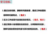 济南版七年级下册生物 3.2物质运输的器官 课件