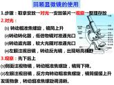 济南版七年级下册生物 3.2物质运输的器官 课件