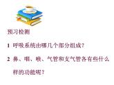 济南版七年级下册生物 2.1人体与外界的气体交换 课件