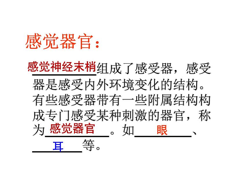 济南版七年级下册生物 5.4人体对周围世界的感知 课件第3页