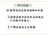 济南版七年级下册生物 4.2汗液的形成和排出 课件