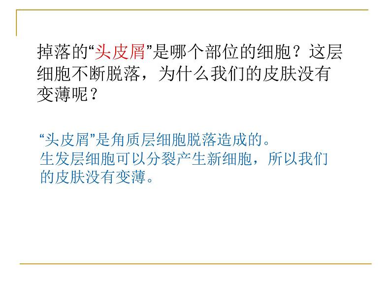济南版七年级下册生物 4.2汗液的形成和排出 课件06