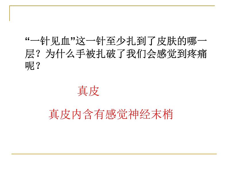 济南版七年级下册生物 4.2汗液的形成和排出 课件07