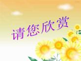 济南社八年级下册生物  5.1.3生物进化的历程 课件