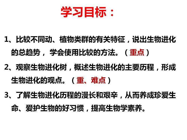 济南社八年级下册生物  5.1.3生物进化的历程 课件第8页