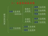 济南社八年级下册生物  6.2.4生态系统的类型 课件