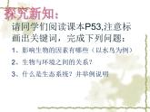 济南社八年级下册生物  6.2.1生态系统的组成 课件