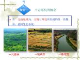 济南社八年级下册生物  6.2.1生态系统的组成 课件