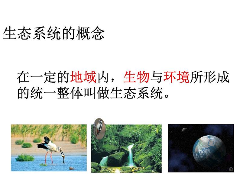 济南社八年级下册生物  6.2.1生态系统的组成 课件第5页