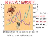 济南社八年级下册生物  6.2.5生态系统的自我调节 课件