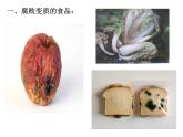 济南社八年级下册生物  7.1.2食品保存 课件