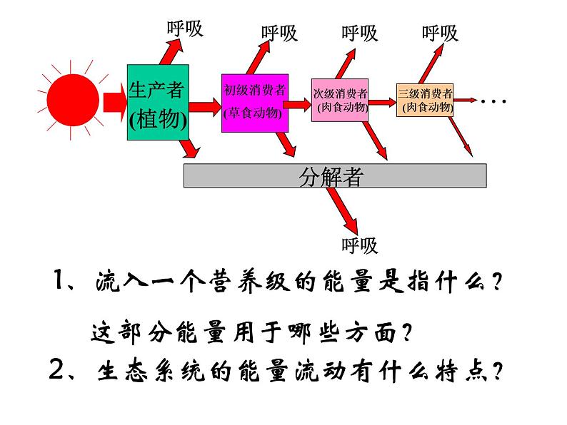 济南社八年级下册生物  6.2.3能量流动和物质循环 课件06