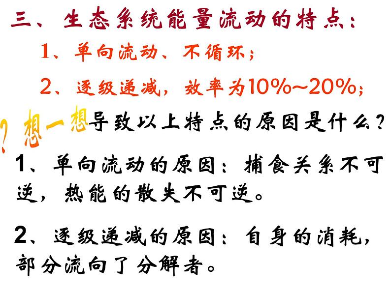 济南社八年级下册生物  6.2.3能量流动和物质循环 课件07