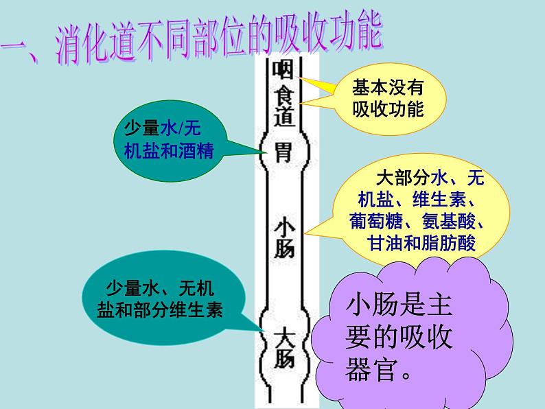 冀教版七年级下册生物 1.3营养物质的吸收和利用 课件第7页