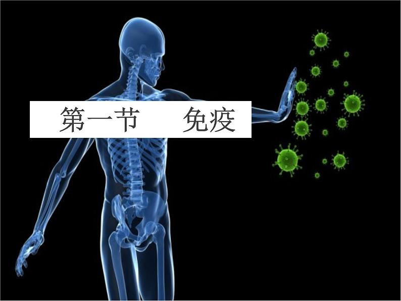 冀教版七年级下册生物 6.1 免疫 课件03