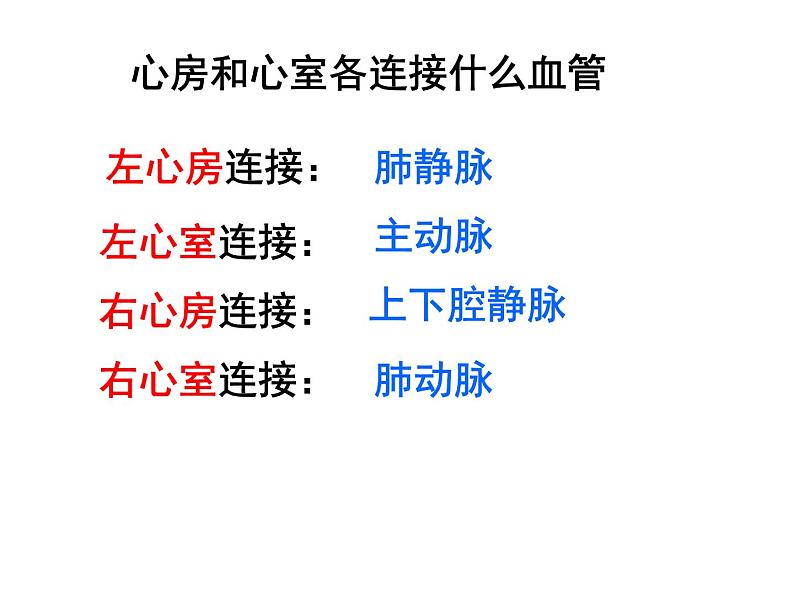 冀教版七年级下册生物 2.3物质运输的路线 课件04